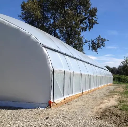 Customizable Film Blackout Greenhouses for Mushroom Growing