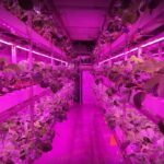 Customizable Strawberry Container Farm