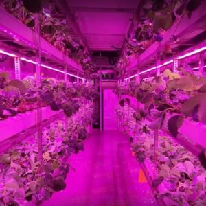 Customizable Strawberry Container Farm