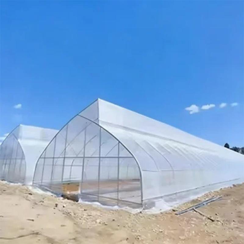 Large scale sawtooth greenhouse for crop cultivation