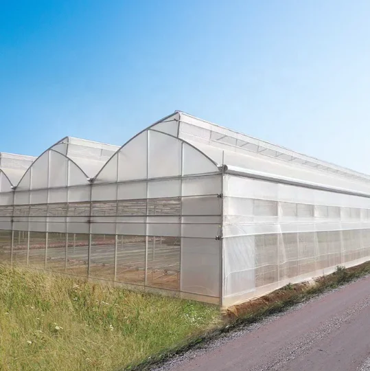 Invernadero inteligente de varios tramos con techo en forma de diente de sierra para agricultura avanzada