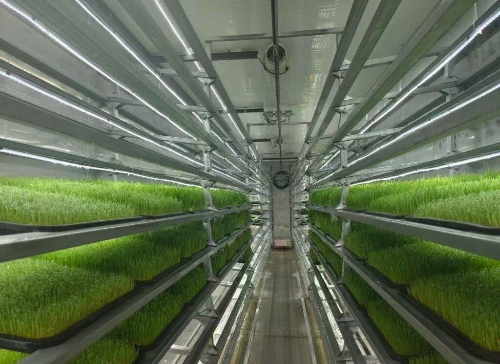 Customized Fodder Container Farm