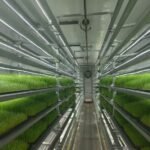 Customized Fodder Container Farm