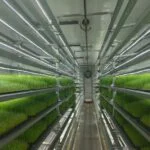 Customized Fodder Container Farm