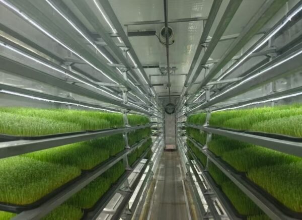 Customized Fodder Container Farm