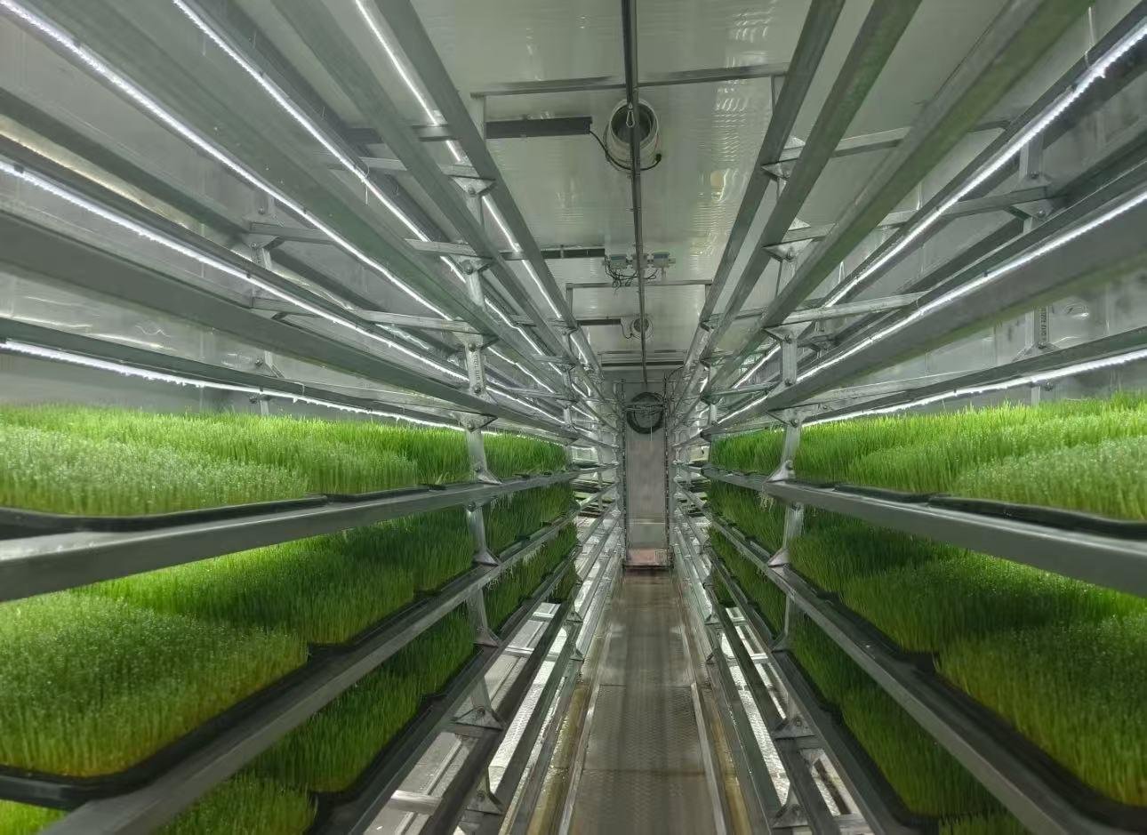 Automatic Fodder Container Farm with Vertical Farm System