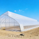 একক স্প্যান ফিল্ম স্যাটুটুথ গ্রীনহাউস