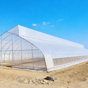 单跨薄膜锯齿形温室