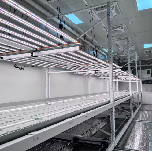 Container Plant Factory With LED Lights