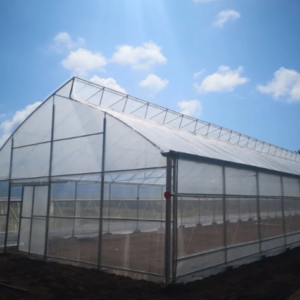 সবজির জন্য একক স্প্যান ফিল্ম সটথুথ গ্রীনহাউস