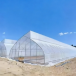 কৃষি একক-স্প্যান ফিল্ম স্যাটুটু গ্রীনহাউস