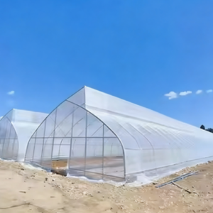 কৃষি একক-স্প্যান ফিল্ম স্যাটুটু গ্রীনহাউস