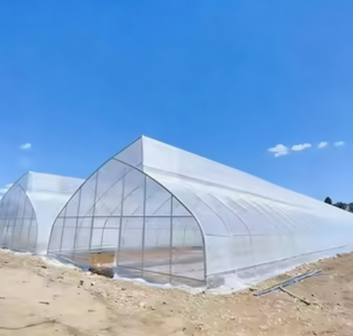 Invernadero de diente de sierra de película de una sola luz para agricultura de tamaño personalizado