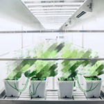 40ft Smart Hemp Container Farm