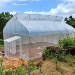 কৃষি একক-স্প্যান ফিল্ম স্যাটুটু গ্রীনহাউস