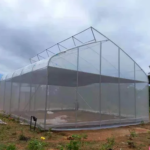 উচ্চমানের একক-স্প্যান ফিল্ম সোটথু গ্রীনহাউস