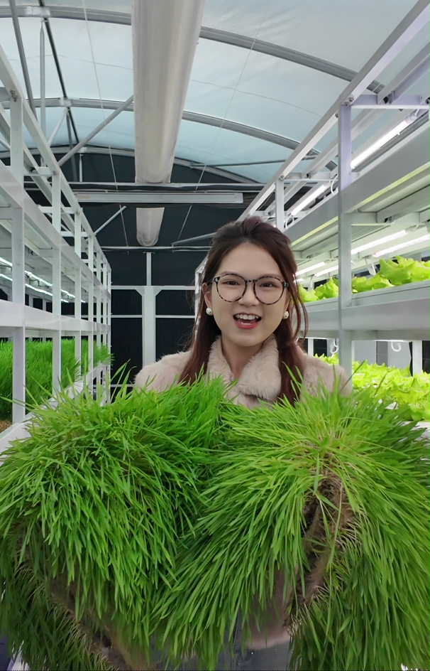 Agricultural Fodder Container Farm
