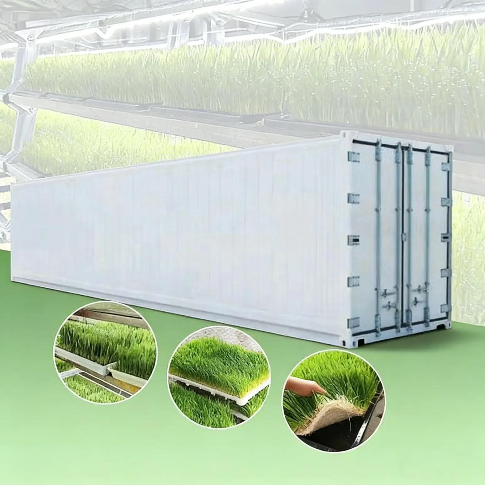 Automated Indoor Farming System Hydroponic Fodder Container Farm