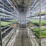 Multi-Layer Design Fodder Container Farm