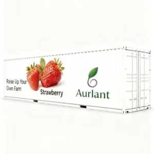 strawberry container farm