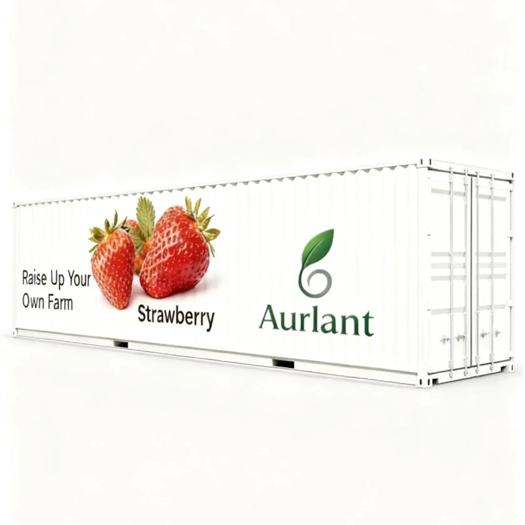 strawberry container farm