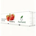 Automatic Strawberry Container Farm