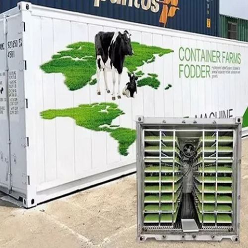 20ft40ft Fodder Container Farm with Galvanized Steel Frame