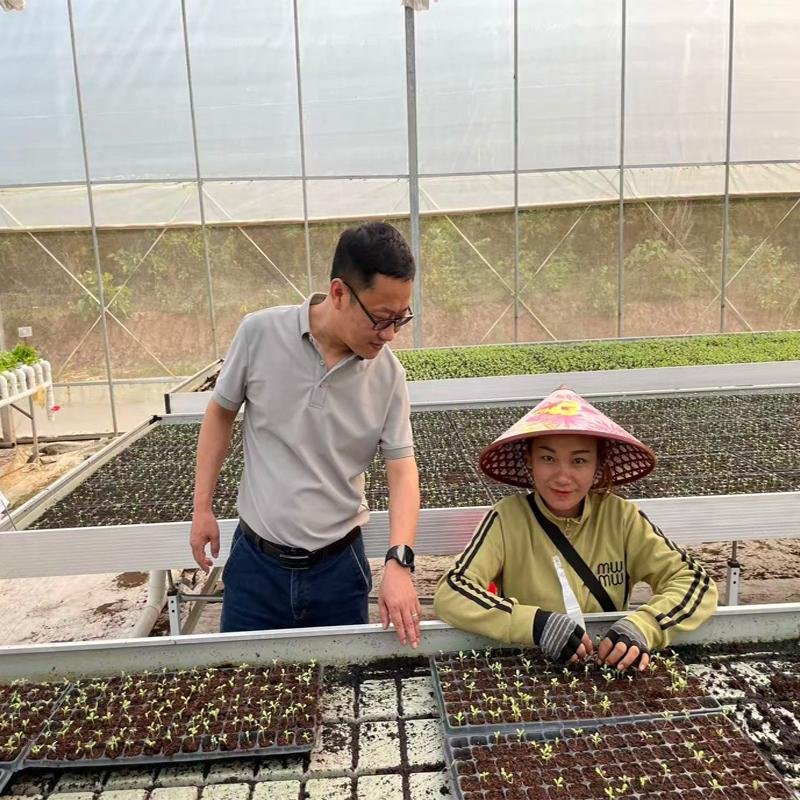 Hydroponic Systems Case Study: Smart Agriculture Project in Laos