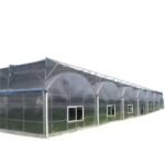 High Quality Polycarbonate Multi Span Greenhouse