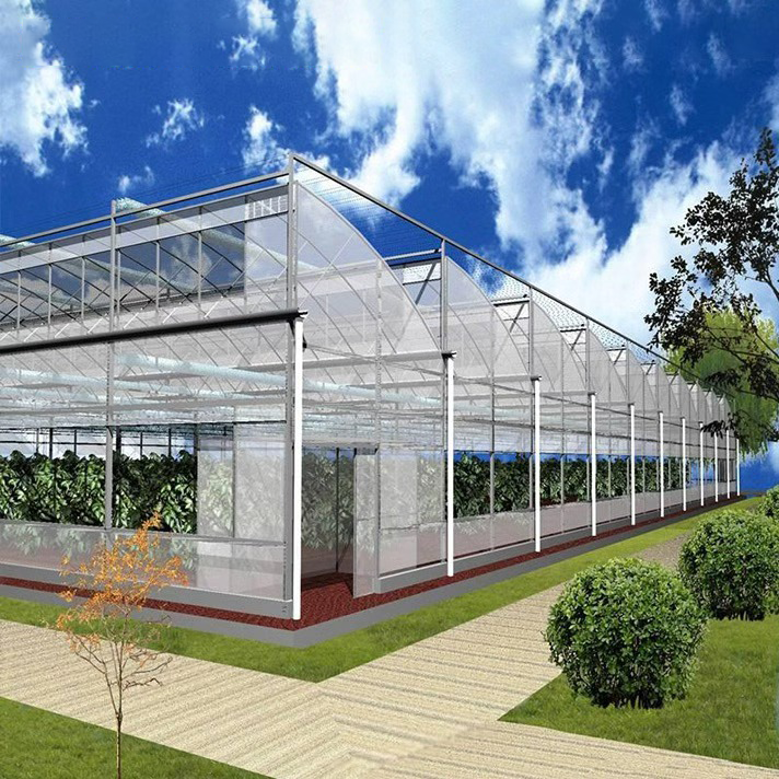 Low Cost Agriculture Poly Film Multi-Span Sawtooth Greenhouse