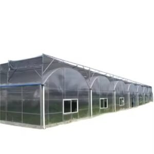 High Quality Polycarbonate Multi Span Greenhouse