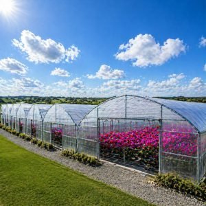 用于花卉种植的多跨温室