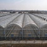 Agricultural Multi-Span Greenhouse