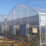 Large Polycarbonate Multi Span Greenhouse