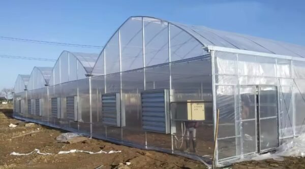 Large Polycarbonate Multi Span Greenhouse