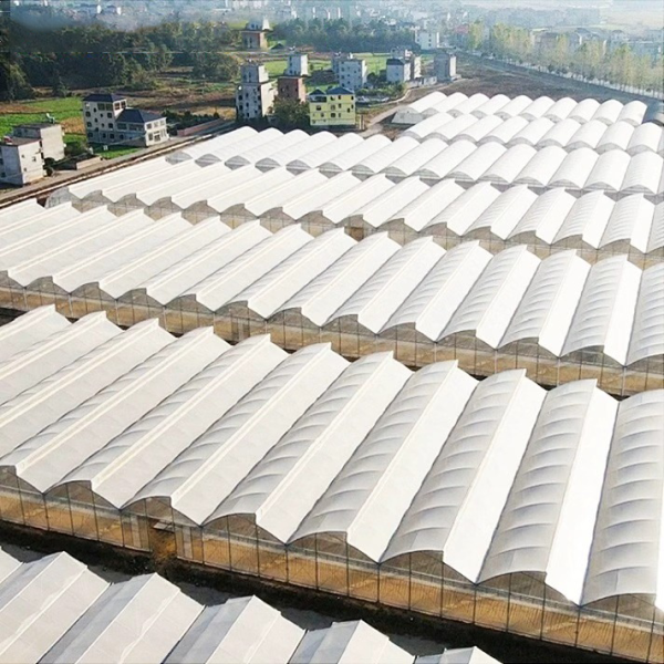 Poly Film Multi-Span Sawtooth Greenhouse