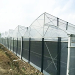 Film sawtooth greenhouse