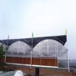 Economical Polycarbonate Multi Span Greenhouse