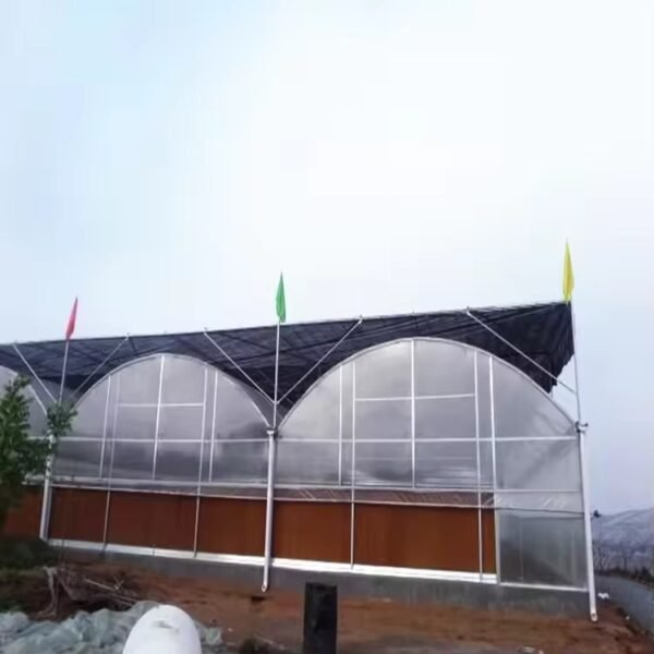 Economical Polycarbonate Multi Span Greenhouse