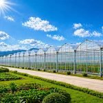 Customizable Multi-Span Greenhouse