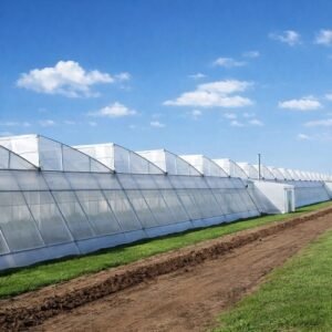 Invernadero económico de dientes de sierra