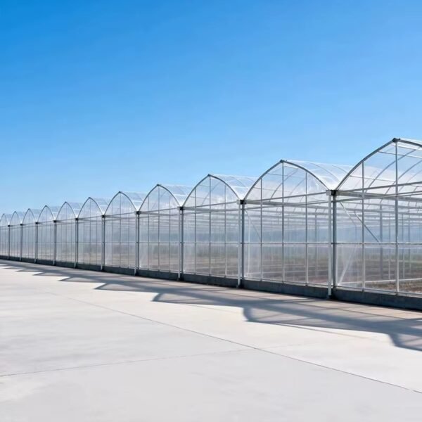 Commercial Multi Span Greenhouse