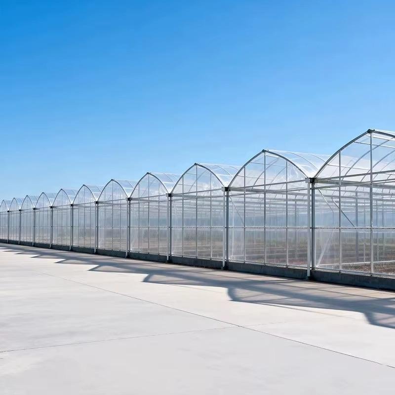 Large Double Layer Multi-Span Greenhouse for Agricultural Farming