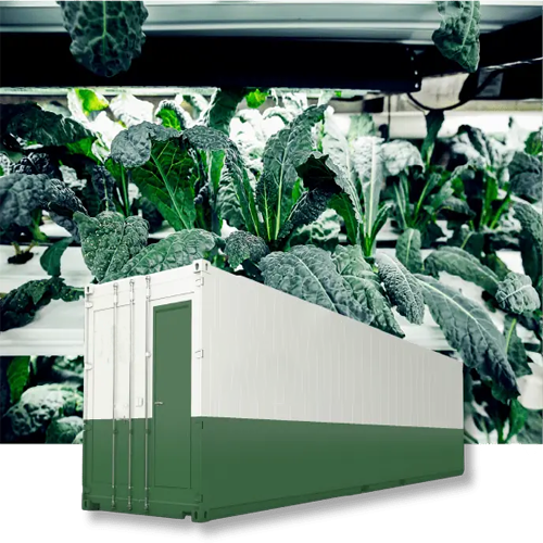 Multi-Layer Design container farm