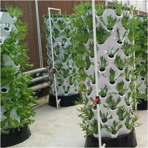 High quality Hydroponics Pineapple Tower