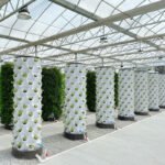 Hydroponics Pineapple Tower for Greens