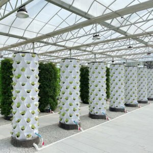 Hydroponics Pineapple Tower for Greens