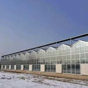 Invernadero de cristal de Venlo