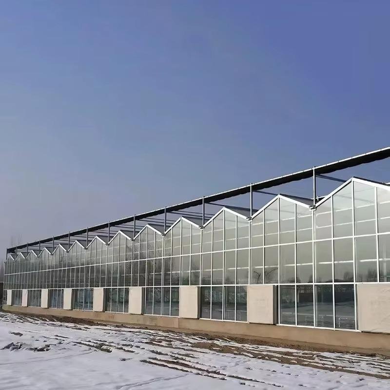 Custom Snow-Resistant Agricultural Multi-Span Glass Venlo Greenhouses