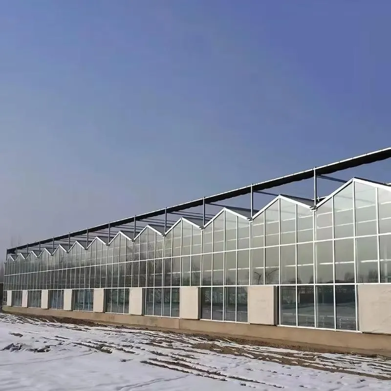 Стеклотеплицы типа «Венло» с несколькими пролетами, изготовленные на заказ для сельского хозяйства и устойчивые к снегу